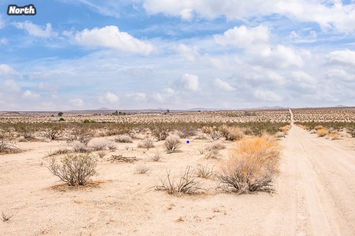Shoshone Valley Road