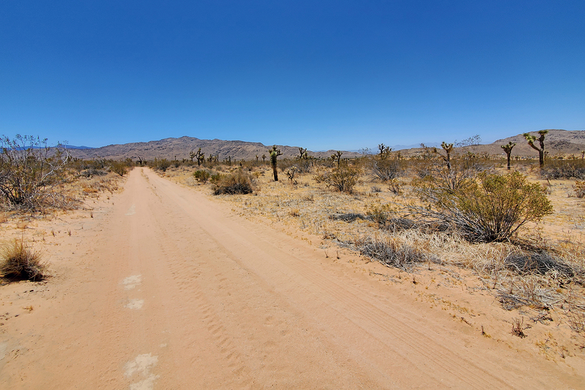 Pioneer Road